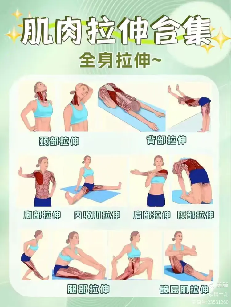 拉伸好处:降低死亡风险,增肌,软化血管,有助改善血压,提高运动能力